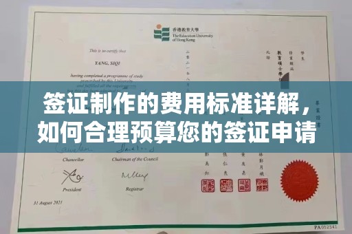 新民签证制作的费用标准详解，如何合理预算您的签证申请成本